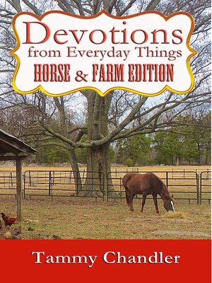 cover image of Devotions from Everyday Things